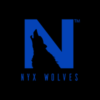Nyx Wolves Freelance & Business Solutions Pvt. Ltd