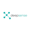 Deepsense Digital Solutions