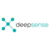 Deepsense Digital Solutions Pvt ltd